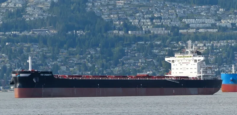 SSI DIGNITY Bulk Carrier IMO 9665360 photo 5