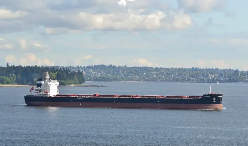 SSI DIGNITY Bulk Carrier IMO 9665360 photo 6