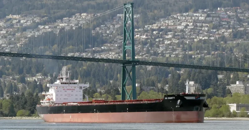 SSI DIGNITY Bulk Carrier IMO 9665360 photo 7