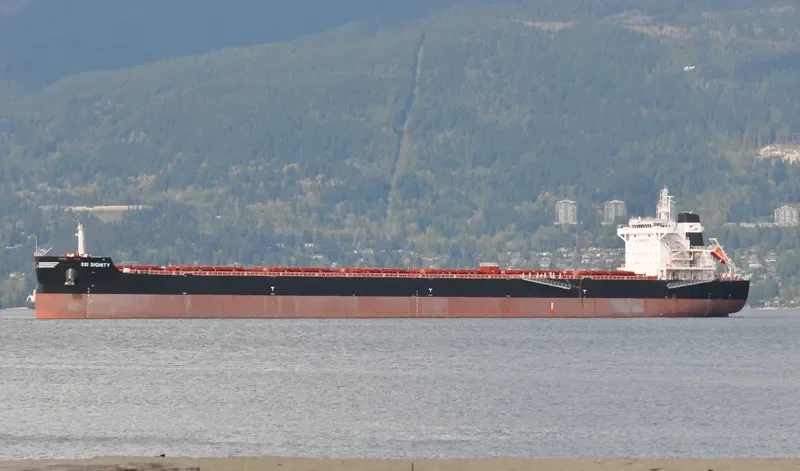 SSI DIGNITY Bulk Carrier IMO 9665360 photo 8