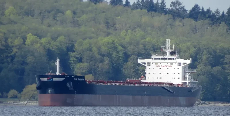 SSI DIGNITY Bulk Carrier IMO 9665360 photo 9