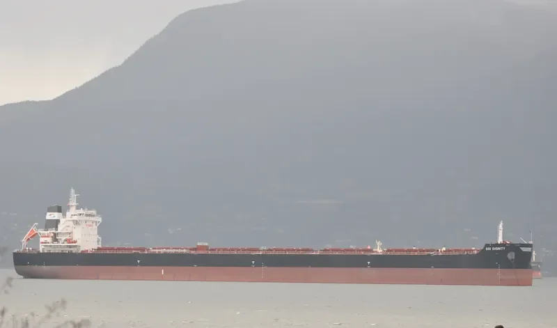 SSI DIGNITY Bulk Carrier IMO 9665360 photo 10