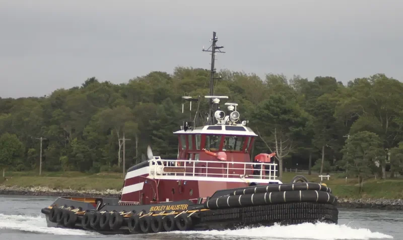 BUCKLEY MCALLISTER General Cargo IMO 9665449 photo 4