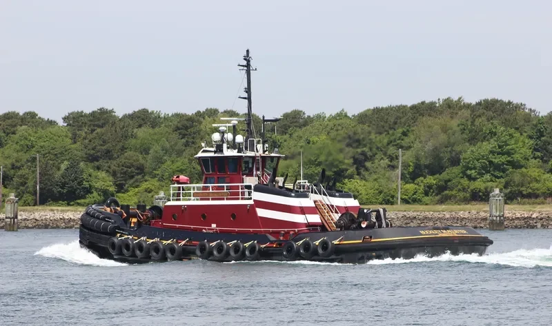 BUCKLEY MCALLISTER General Cargo IMO 9665449 photo 6