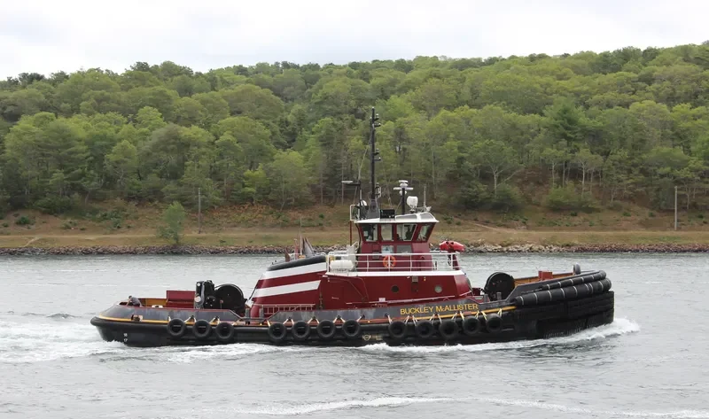 BUCKLEY MCALLISTER General Cargo IMO 9665449 photo 7
