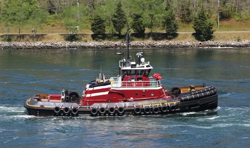 BUCKLEY MCALLISTER General Cargo IMO 9665449 photo 8