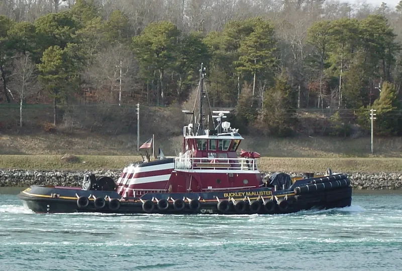 BUCKLEY MCALLISTER General Cargo IMO 9665449 photo 10