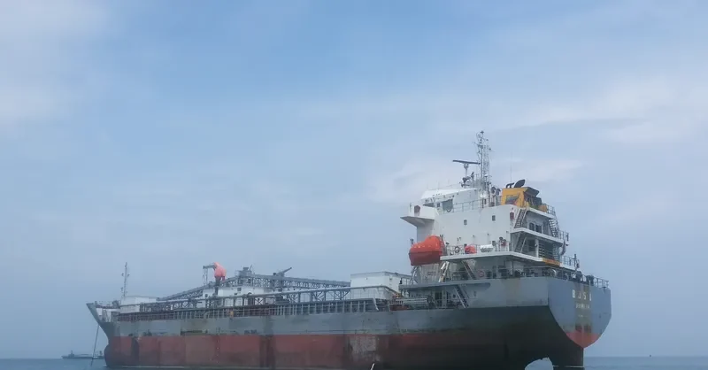 BJS 1 General Cargo IMO 9665451 photo 3