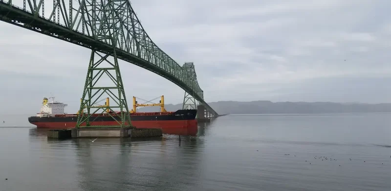 GLOBAL UNITY Bulk Carrier IMO 9665542