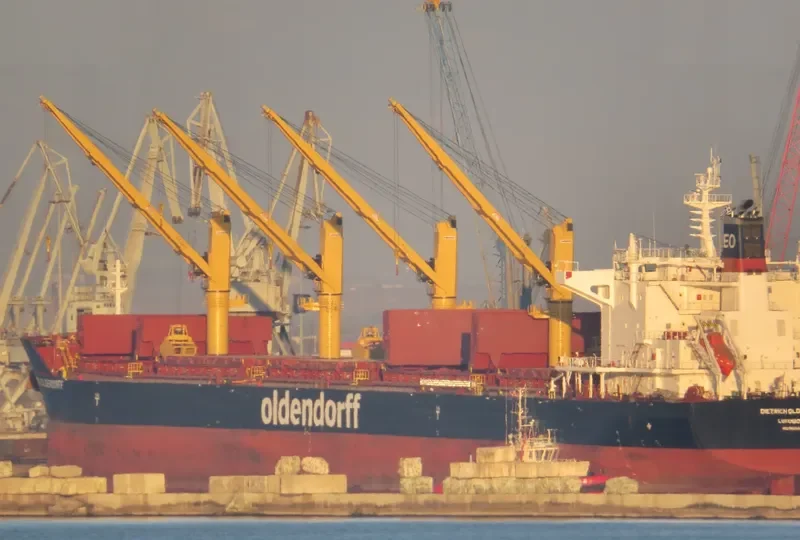 GLOBAL UNITY Bulk Carrier IMO 9665542 photo 2