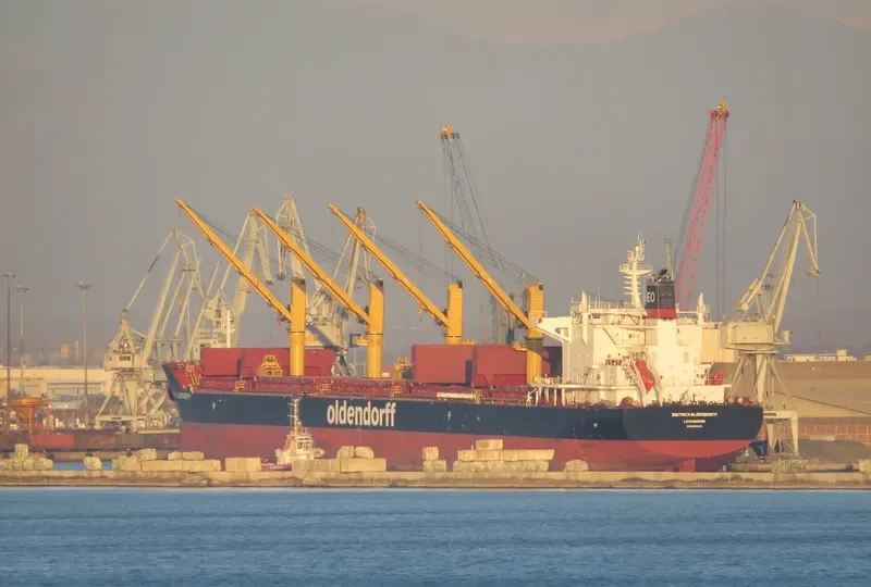 GLOBAL UNITY Bulk Carrier IMO 9665542 photo 3