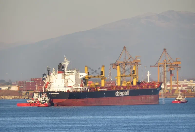 GLOBAL UNITY Bulk Carrier IMO 9665542 photo 4