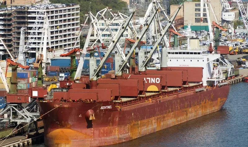 SENTINEL Bulk Carrier IMO 9665554