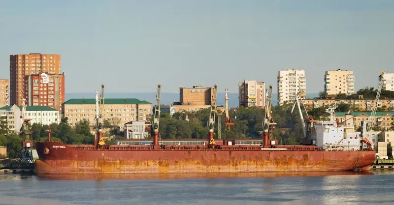 SENTINEL Bulk Carrier IMO 9665554 photo 2
