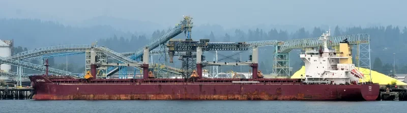SENTINEL Bulk Carrier IMO 9665554 photo 4