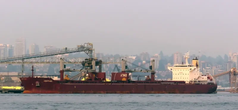 SENTINEL Bulk Carrier IMO 9665554 photo 5