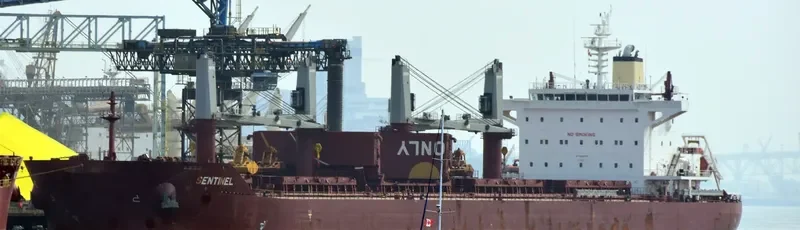 SENTINEL Bulk Carrier IMO 9665554 photo 6