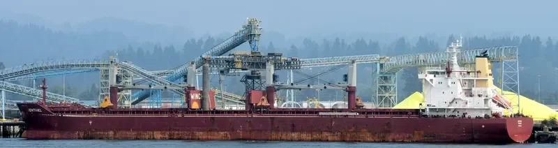 SENTINEL Bulk Carrier IMO 9665554 photo 8