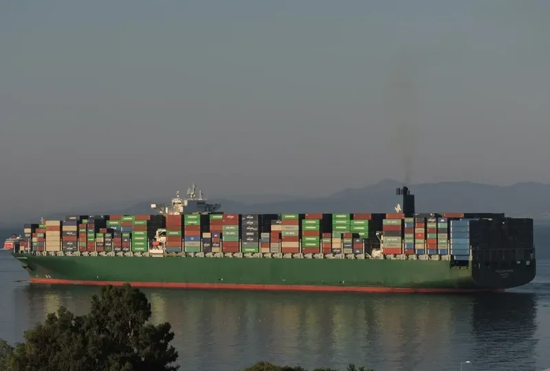 THALASSA PATRIS Container Ship IMO 9665607 photo 7