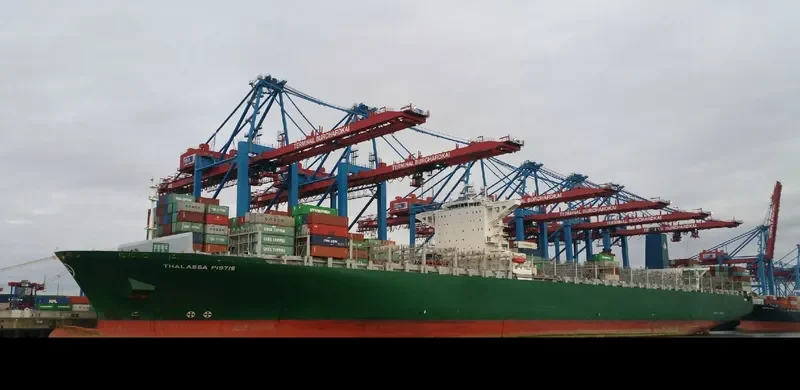 THALASSA PISTIS Container Ship IMO 9665619