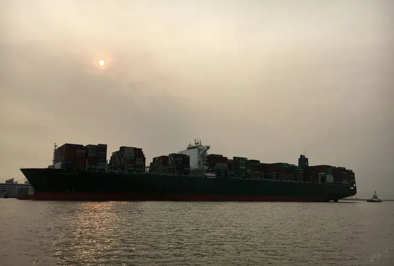 THALASSA PISTIS Container Ship IMO 9665619 photo 5