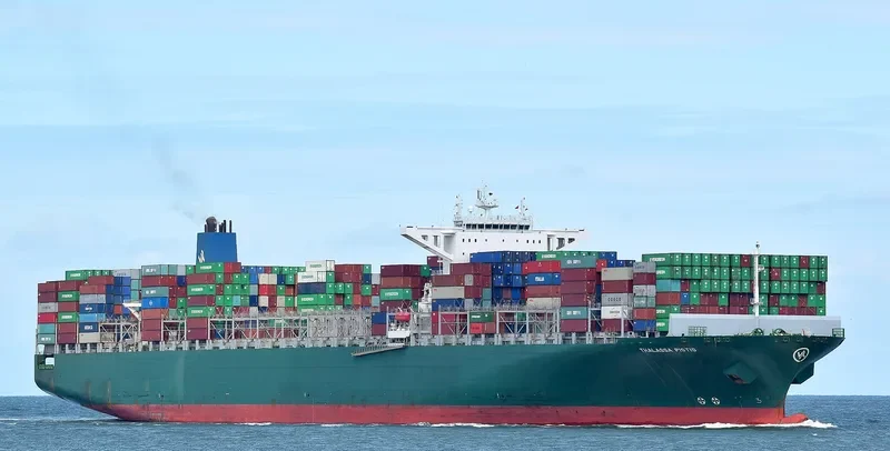 THALASSA PISTIS Container Ship IMO 9665619 photo 7