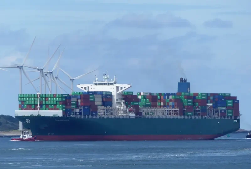 THALASSA PISTIS Container Ship IMO 9665619 photo 8