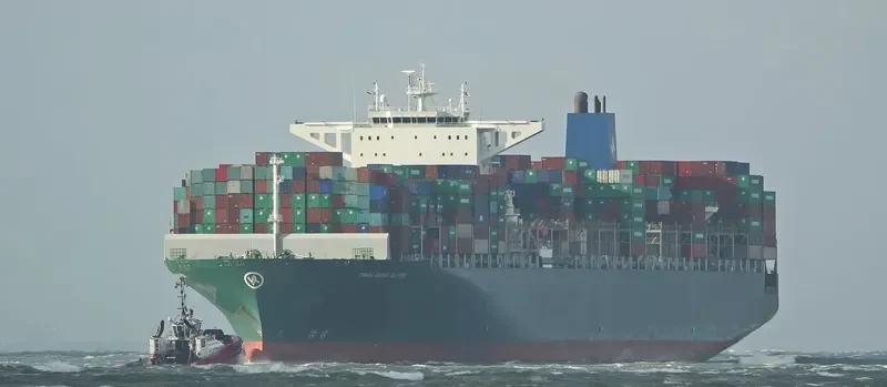 THALASSA ELPIDA Container Ship IMO 9665621 photo 2