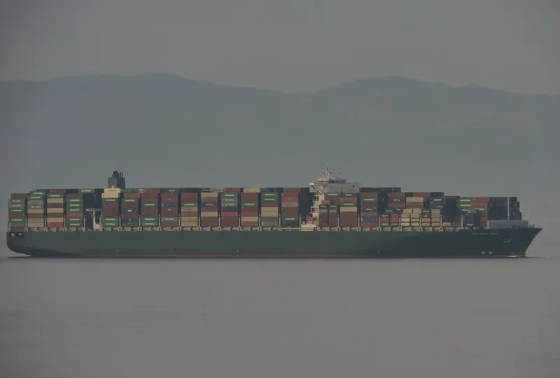 THALASSA AVRA Container Ship IMO 9665633 photo 8