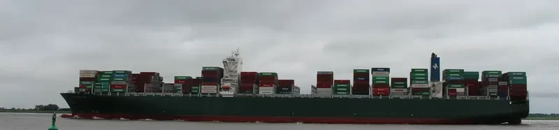 THALASSA NIKI Container Ship IMO 9665645 photo 3