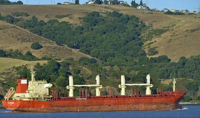 ID PIONEER Bulk Carrier IMO 9665700