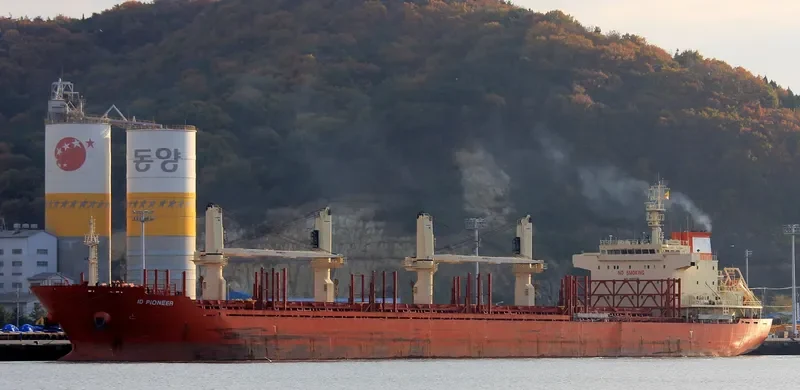 ID PIONEER Bulk Carrier IMO 9665700 photo 2