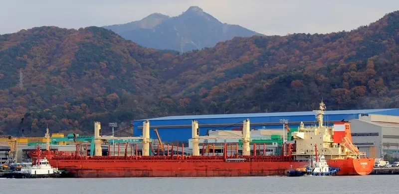 ID PIONEER Bulk Carrier IMO 9665700 photo 3