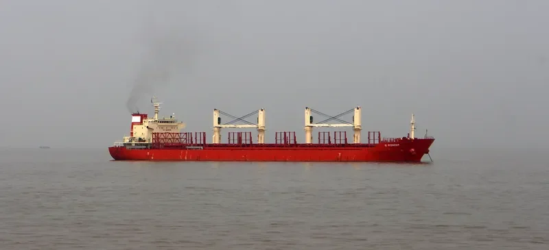 ID PIONEER Bulk Carrier IMO 9665700 photo 5