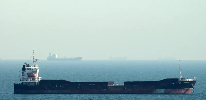 CY ARABIAN General Cargo IMO 9665724