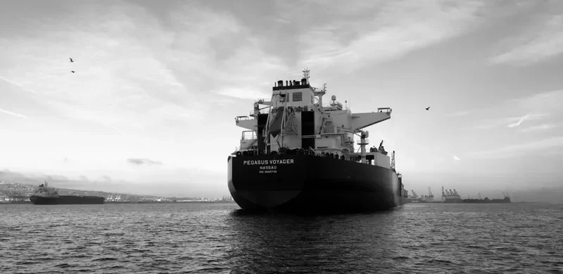 PEGASUS VOYAGER Tanker IMO 9665736 photo 2