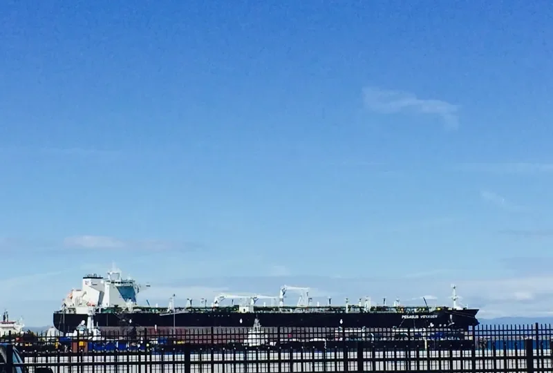 PEGASUS VOYAGER Tanker IMO 9665736 photo 3