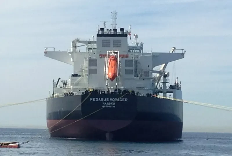 PEGASUS VOYAGER Tanker IMO 9665736 photo 7