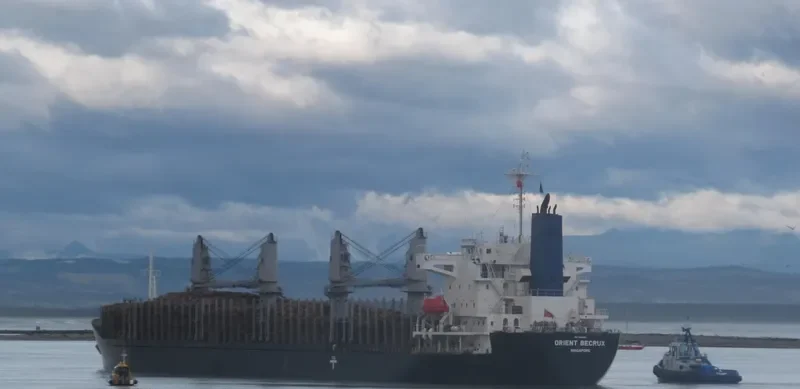 TIBERIUS Bulk Carrier IMO 9665841