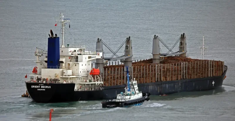 TIBERIUS Bulk Carrier IMO 9665841 photo 2