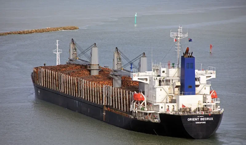 TIBERIUS Bulk Carrier IMO 9665841 photo 4