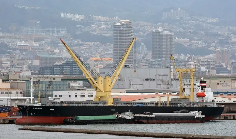 NARUTO General Cargo IMO 9665865