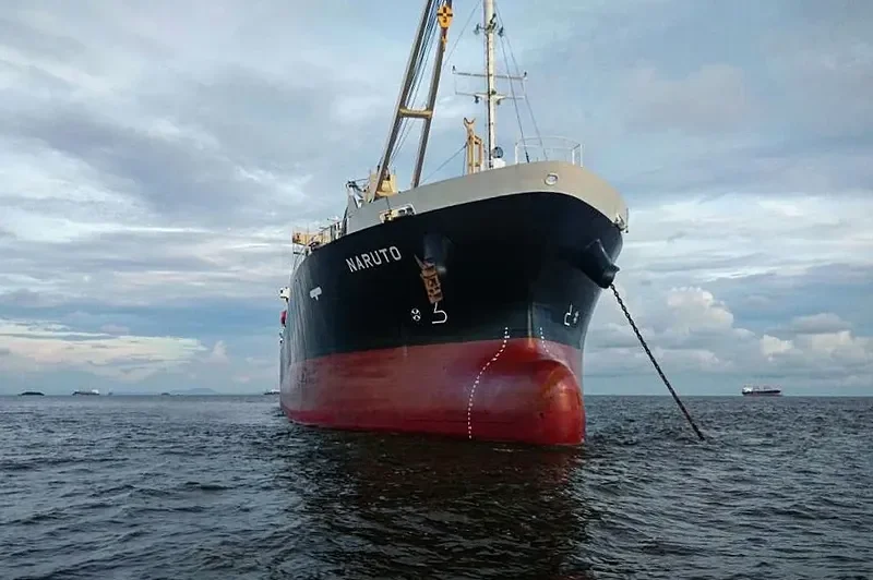 NARUTO General Cargo IMO 9665865 photo 2