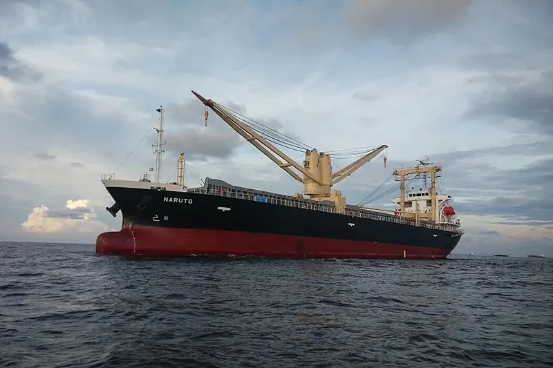 NARUTO General Cargo IMO 9665865 photo 3