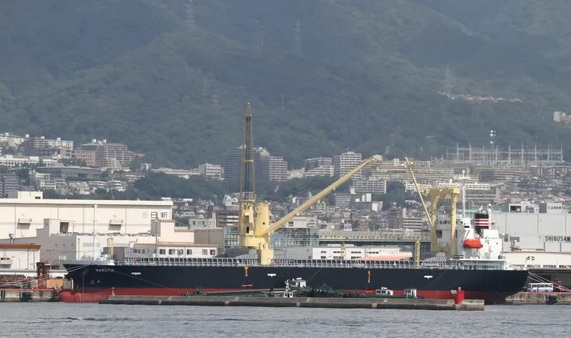 NARUTO General Cargo IMO 9665865 photo 6