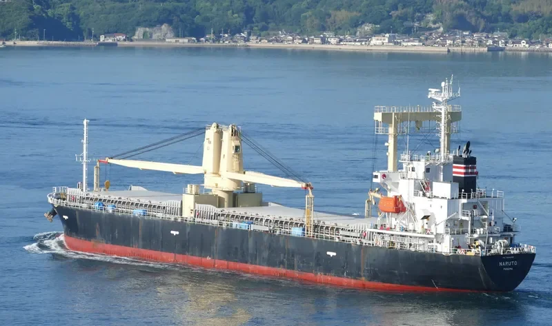 NARUTO General Cargo IMO 9665865 photo 7