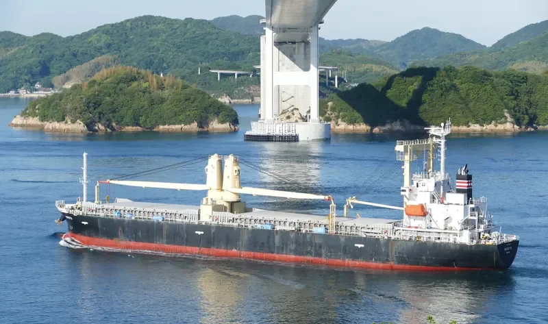 NARUTO General Cargo IMO 9665865 photo 8