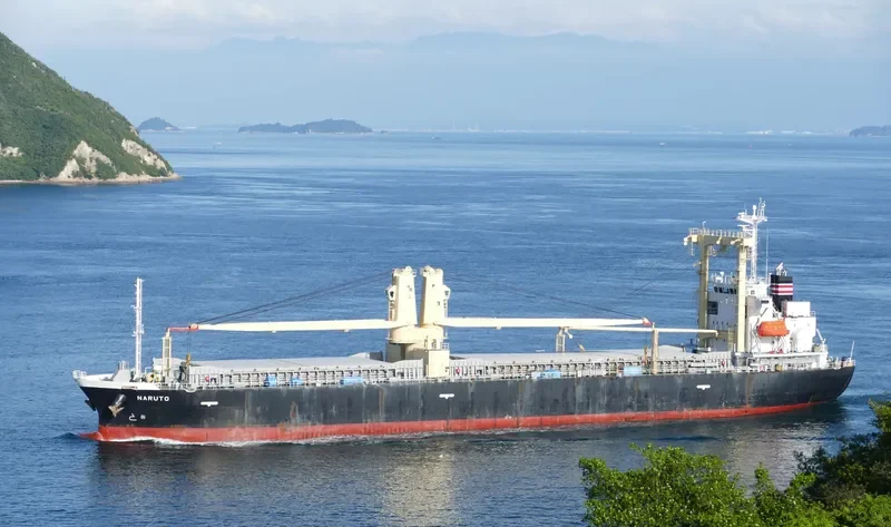 NARUTO General Cargo IMO 9665865 photo 9
