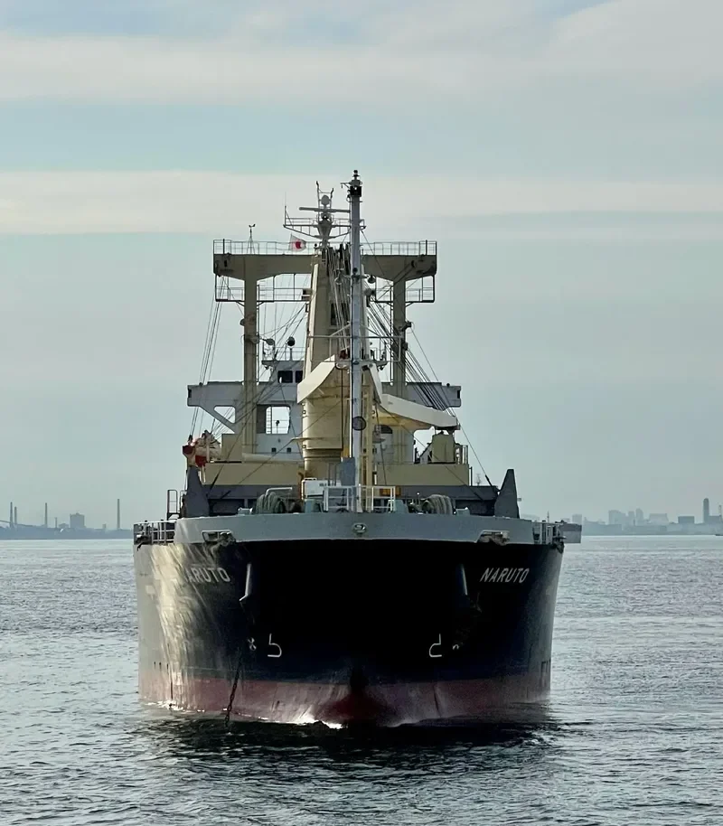 NARUTO General Cargo IMO 9665865 photo 10