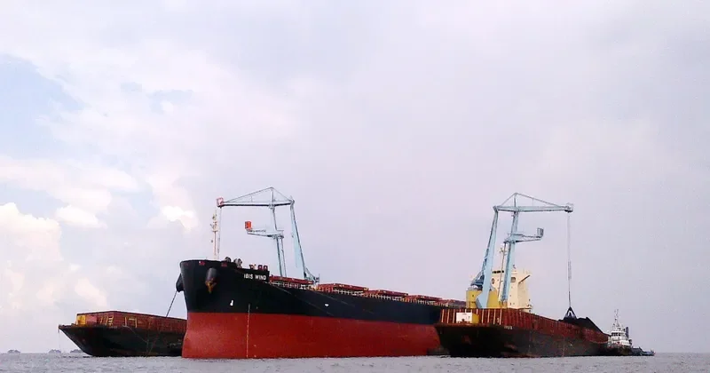 GRAMPUS CHARM Bulk Carrier IMO 9665932